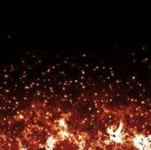 Meet your Posher, T.j